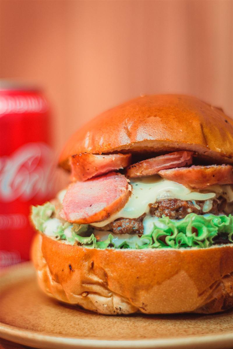 Burger garni, pain brioché